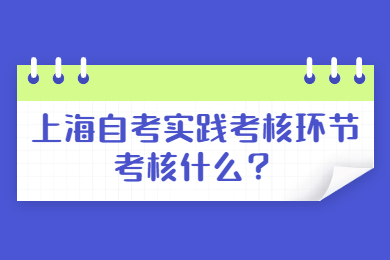 2022年上海自考实践考核环节考核什么？