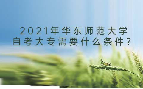 2021年华东师范大学自考大专需要什么条件？